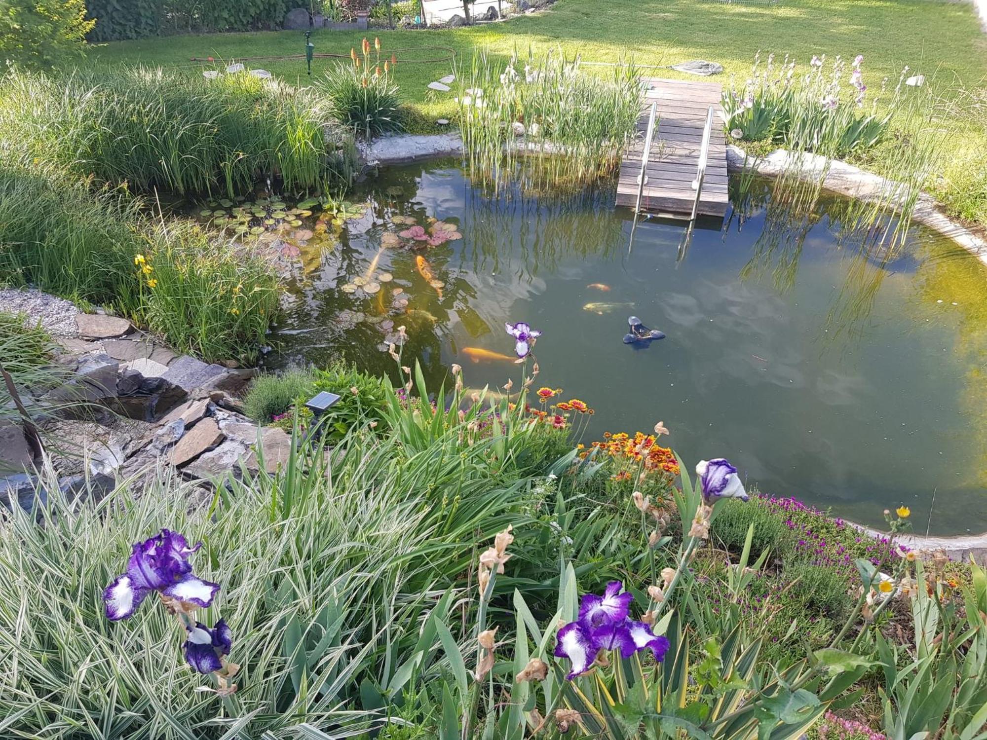 Wohlfuehlen Am Gartenteich Oberzissen Exterior foto